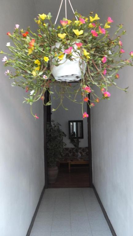Casa Colonial Cejas